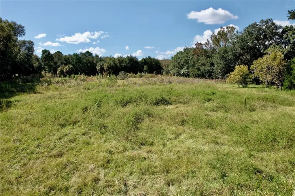 9817 NE County Road 1469 Earleton FL 32631