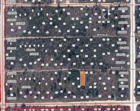 131 Banvon Street Interlachen FL 32148