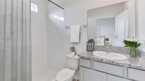 33604 Hamilton Hill Lane Wesley Chapel FL 33545