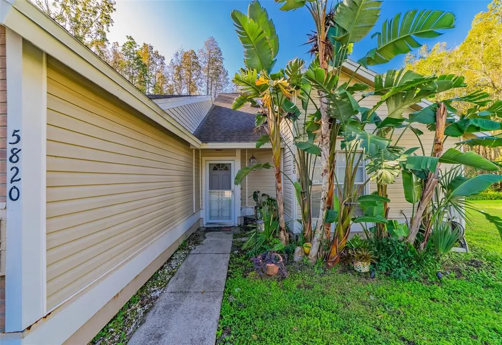 5820 Red Cedar Lane Tampa FL 33625
