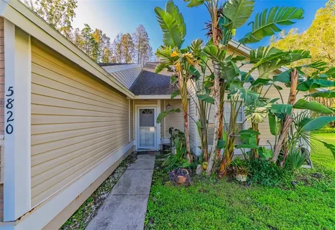 5820 Red Cedar Lane Tampa FL 33625