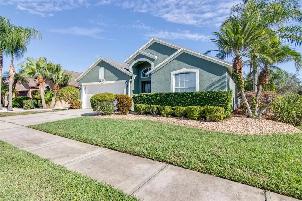 1246 Maximilian Drive Wesley Chapel FL 33543
