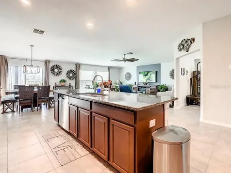 11101 Carlton Fields Drive Riverview FL 33579