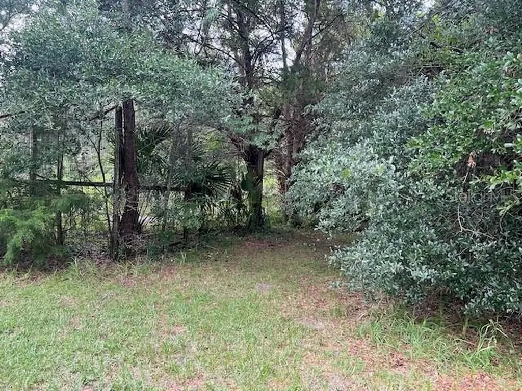 3231 NE Highway 41 Williston FL 32696