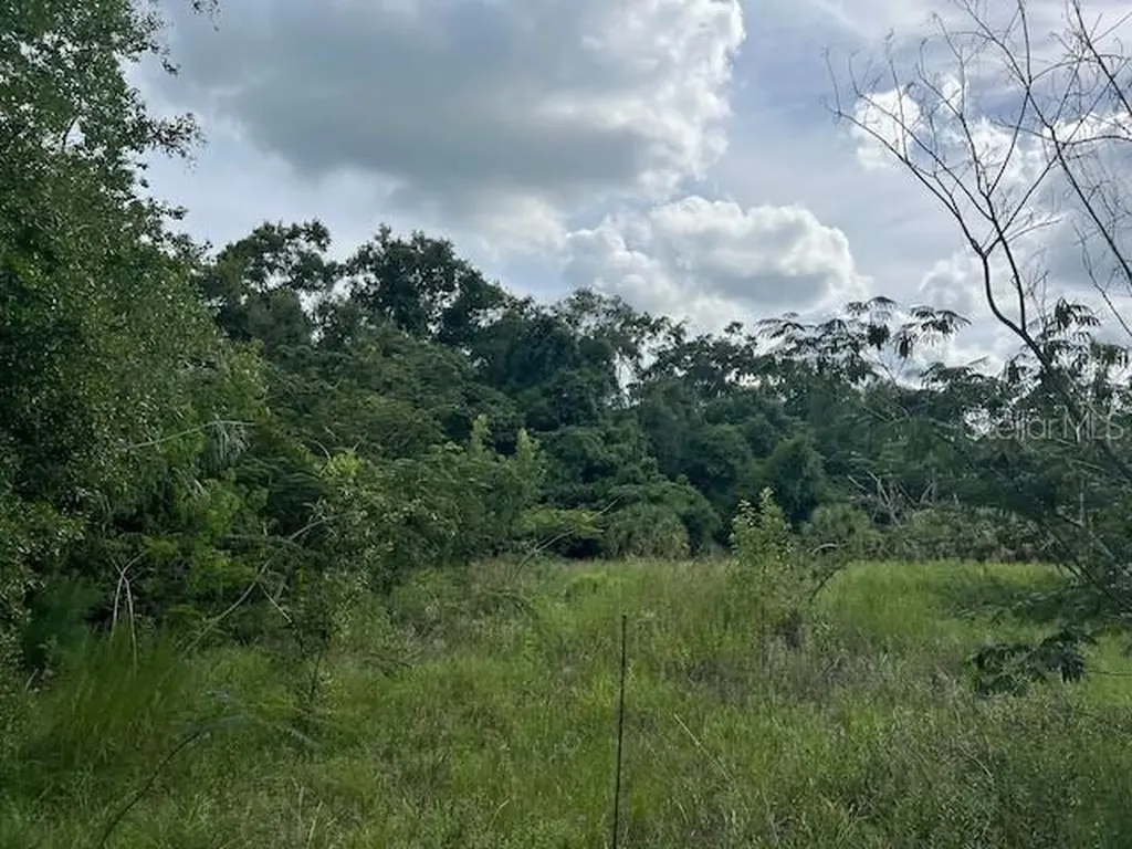 3231 NE Highway 41 Williston FL 32696