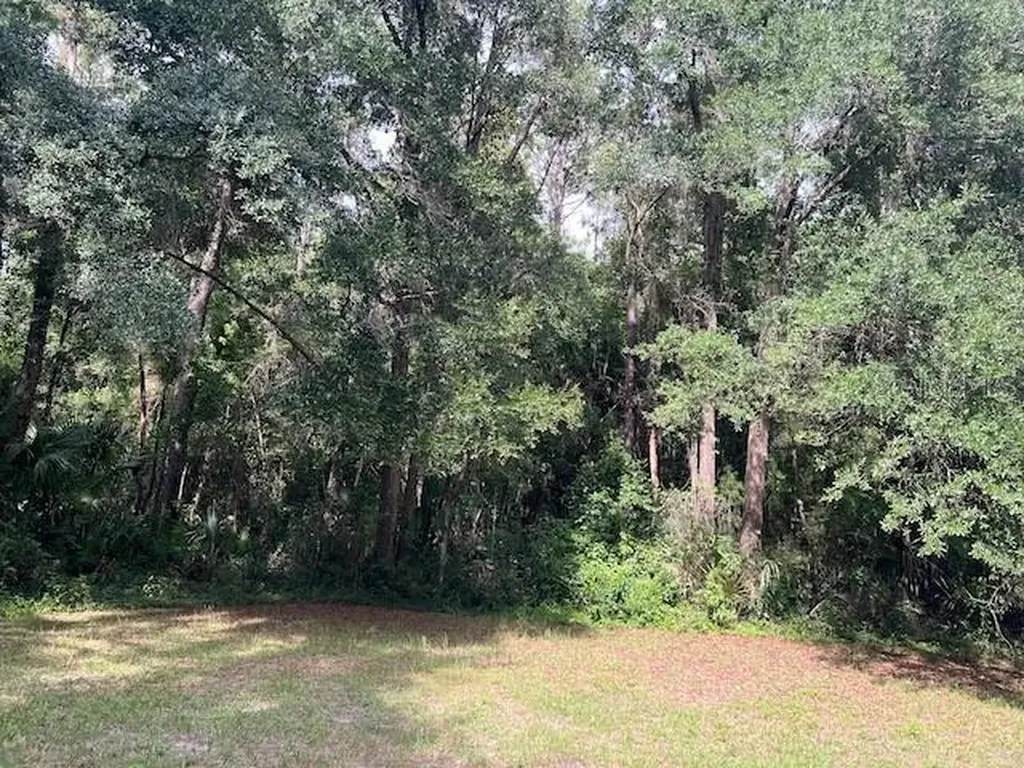 3231 NE Highway 41 Williston FL 32696