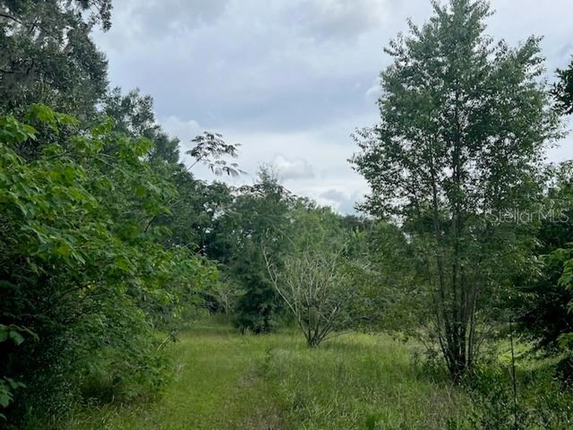 3231 NE Highway 41 Williston FL 32696