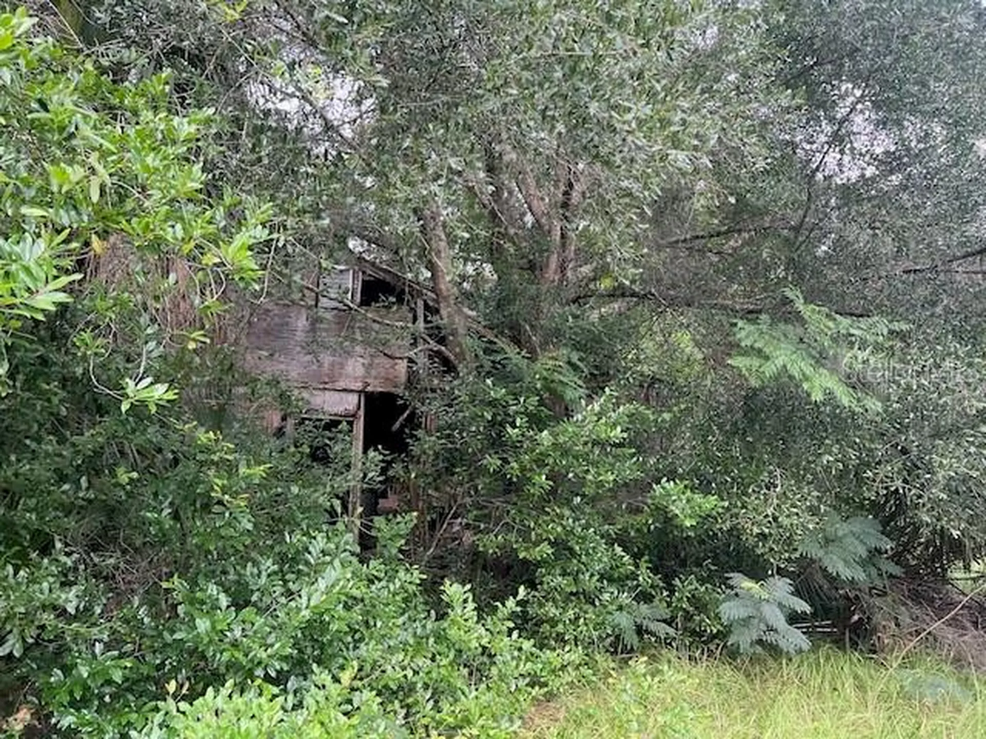 3231 NE Highway 41 Williston FL 32696