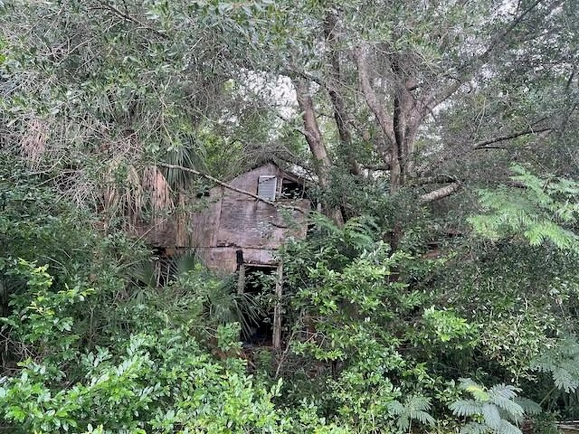 3231 NE Highway 41 Williston FL 32696