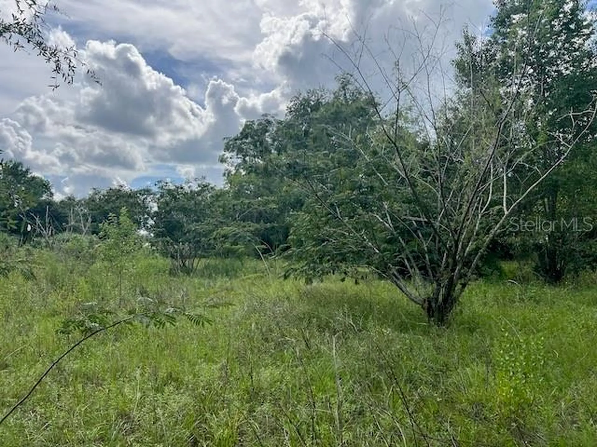 3231 NE Highway 41 Williston FL 32696