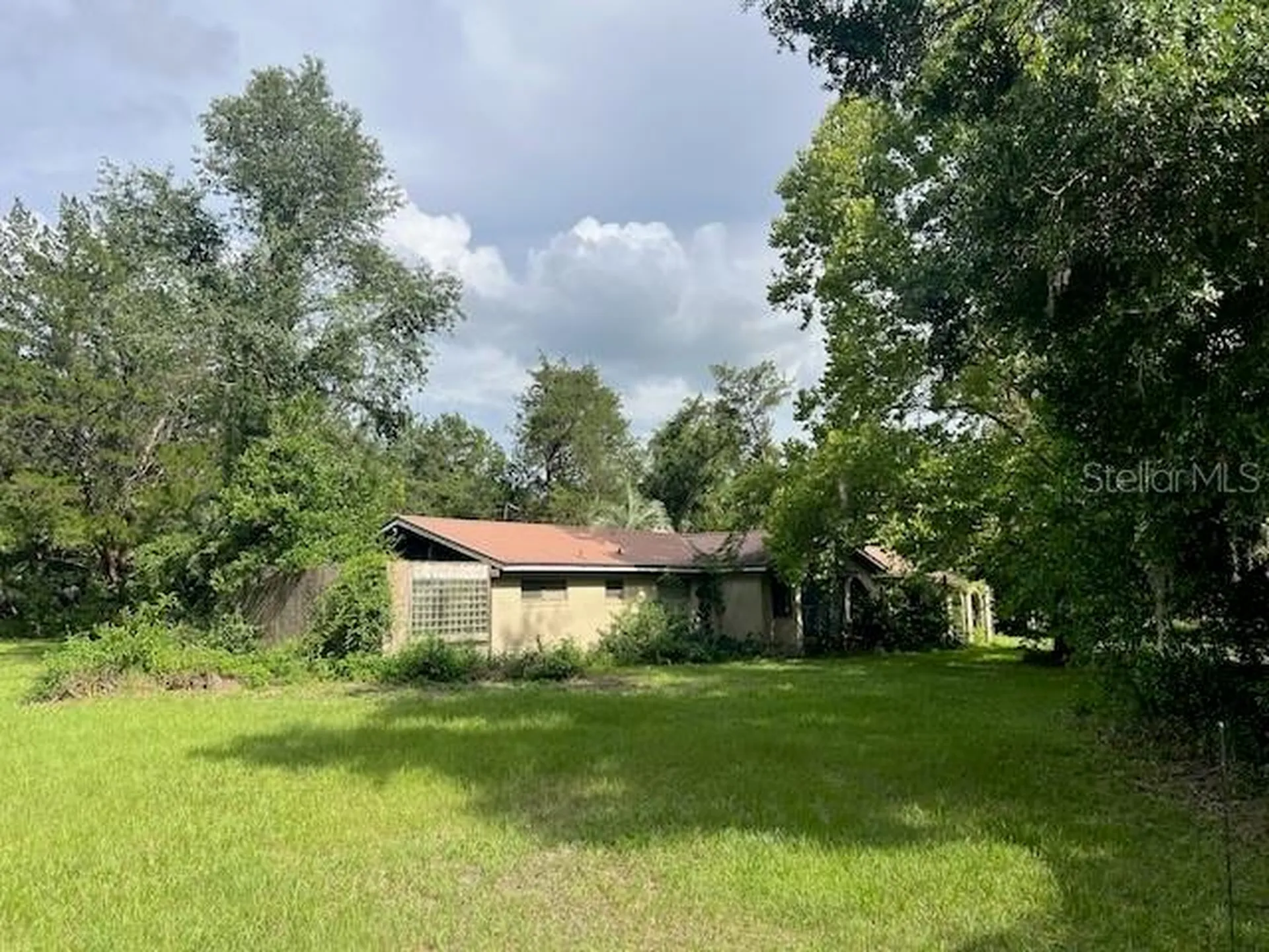 3231 NE Highway 41 Williston FL 32696