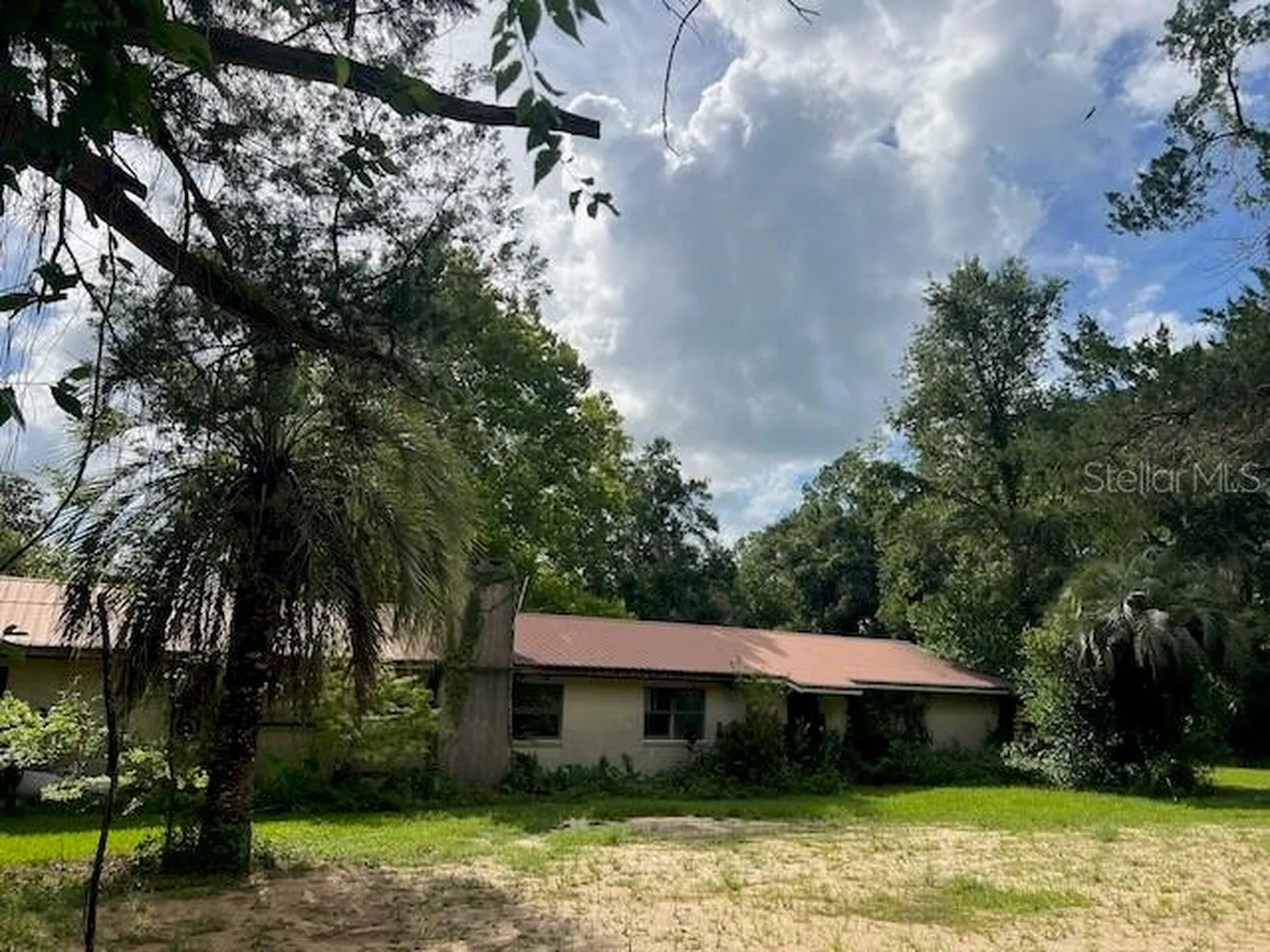 3231 NE Highway 41 Williston FL 32696