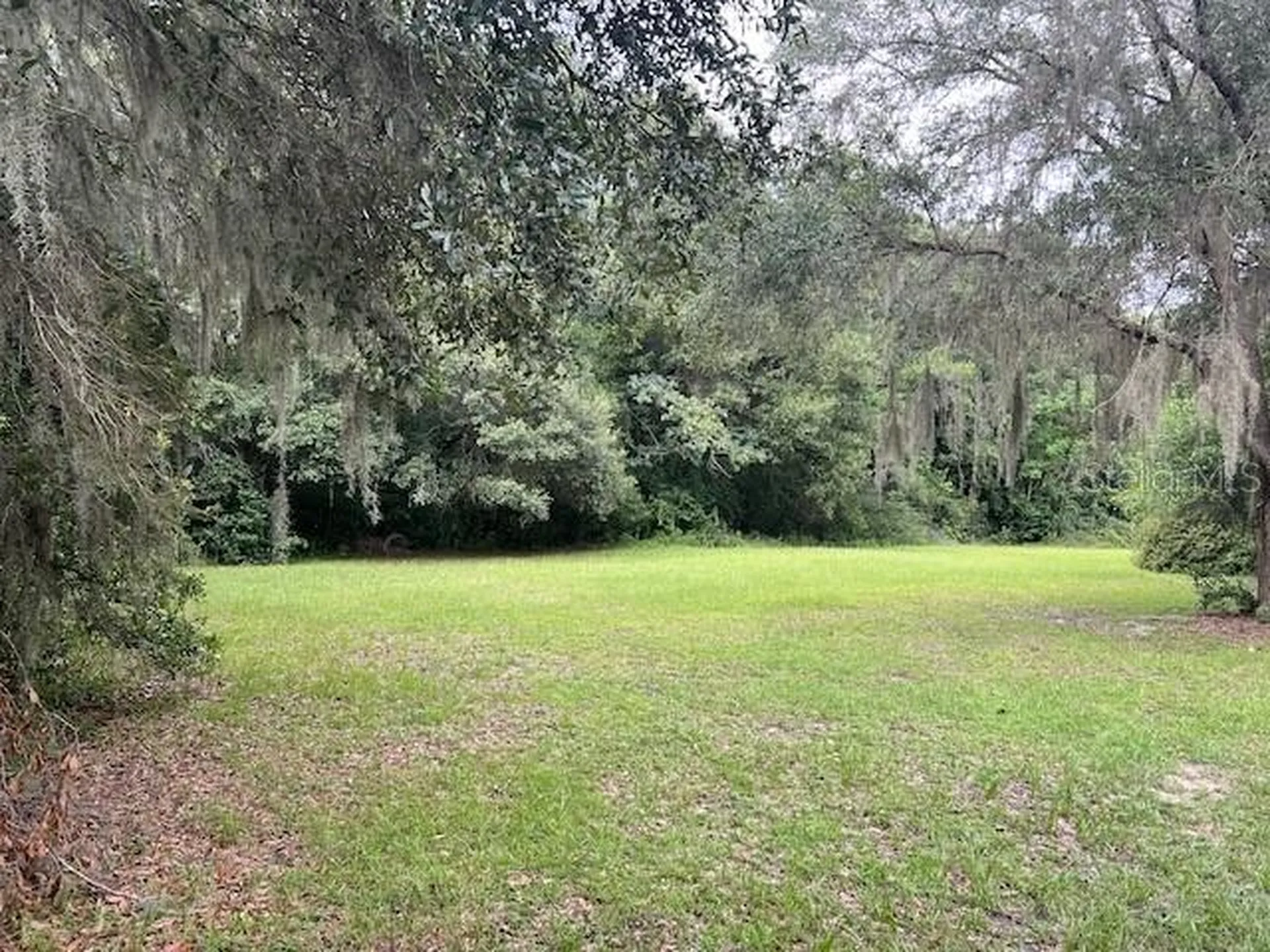 3231 NE Highway 41 Williston FL 32696