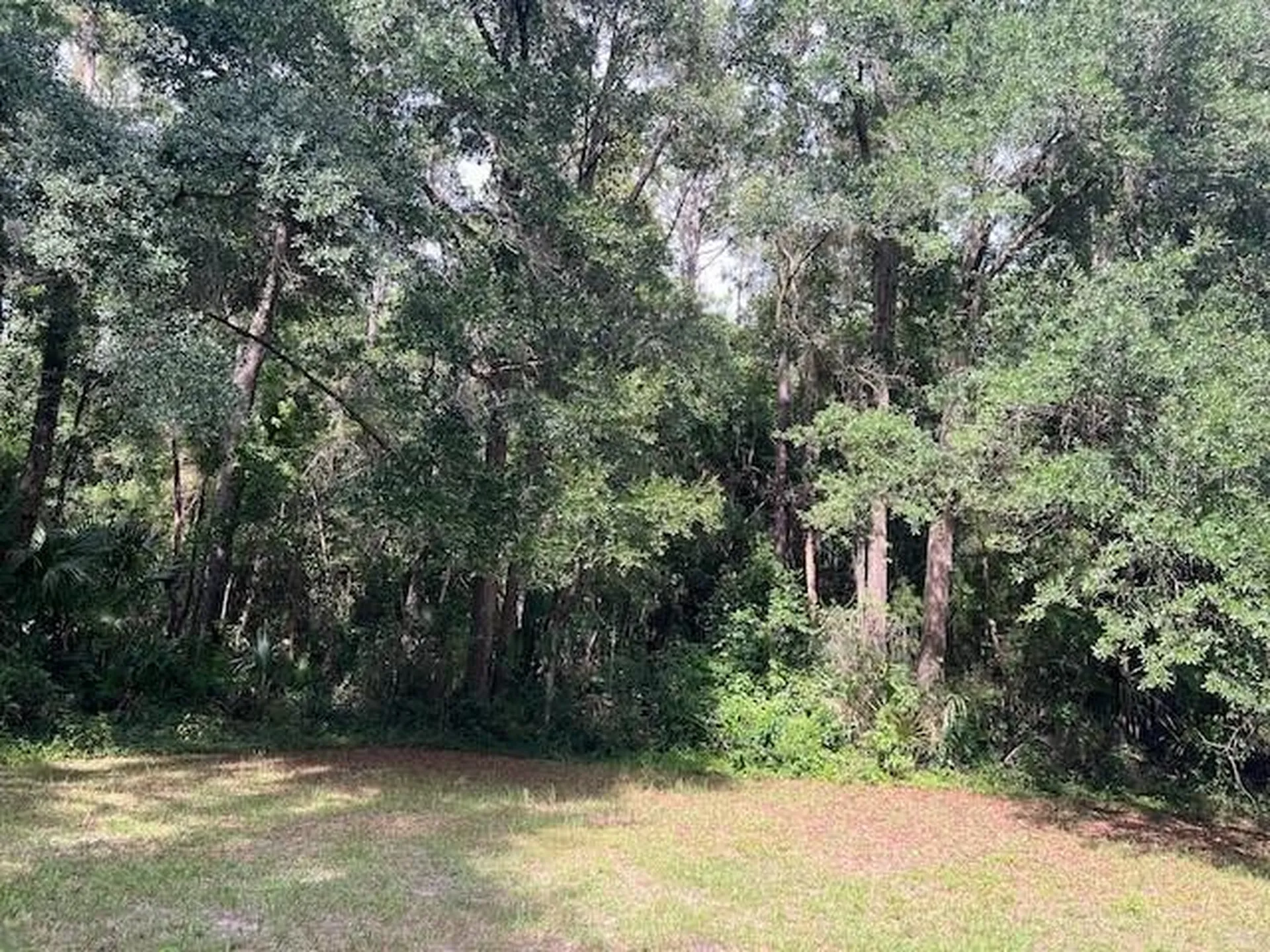 3231 NE Highway 41 Williston FL 32696