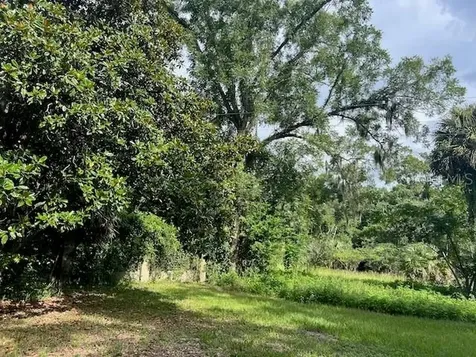 3231 NE Highway 41 Williston FL 32696