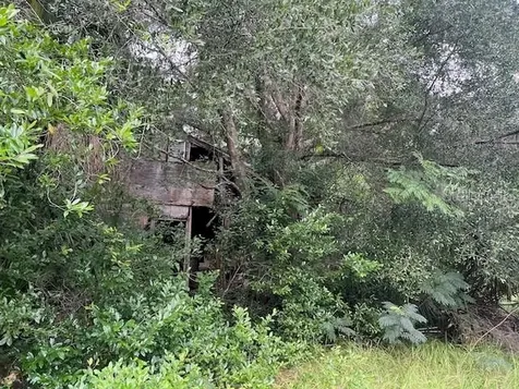3231 NE Highway 41 Williston FL 32696