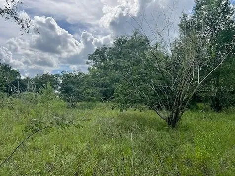 3231 NE Highway 41 Williston FL 32696