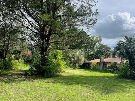 3231 NE Highway 41 Williston FL 32696