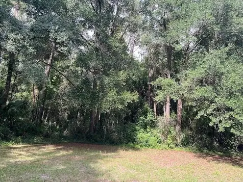 3231 NE Highway 41 Williston FL 32696