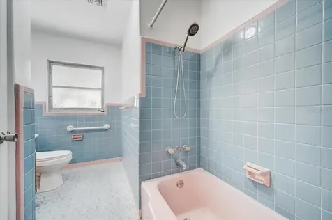 1512 N Grandview Street Mount Dora FL 32757