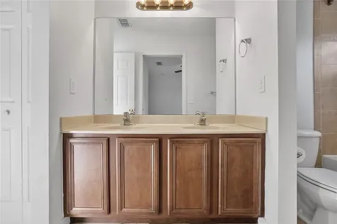 20402 Needletree Drive Tampa FL 33647