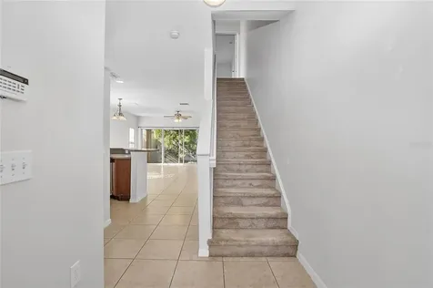 20402 Needletree Drive Tampa FL 33647