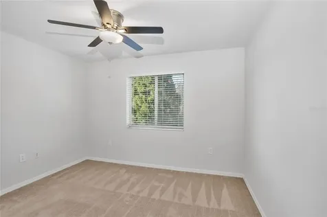 20402 Needletree Drive Tampa FL 33647