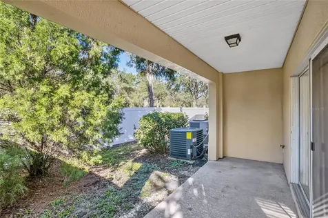 20402 Needletree Drive Tampa FL 33647