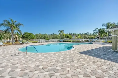 20402 Needletree Drive Tampa FL 33647