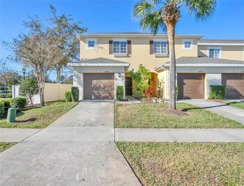 20402 Needletree Drive Tampa FL 33647