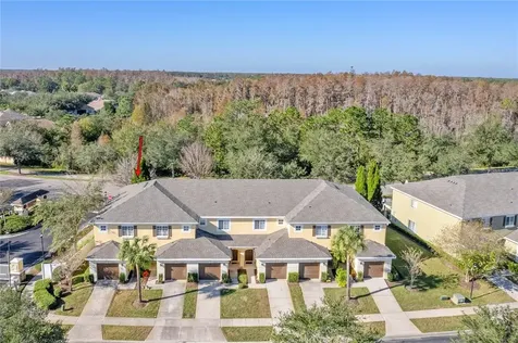 20402 Needletree Drive Tampa FL 33647