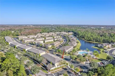 20402 Needletree Drive Tampa FL 33647