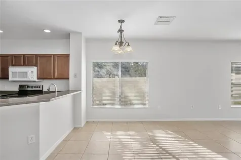 20402 Needletree Drive Tampa FL 33647