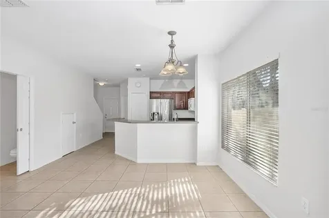 20402 Needletree Drive Tampa FL 33647