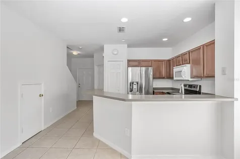 20402 Needletree Drive Tampa FL 33647