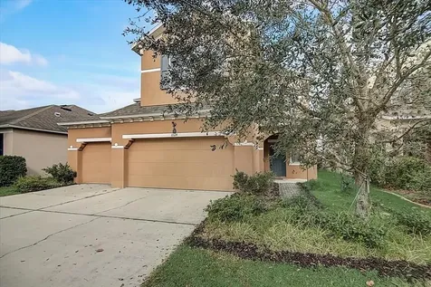 10124 Celtic Ash Drive Ruskin FL 33573