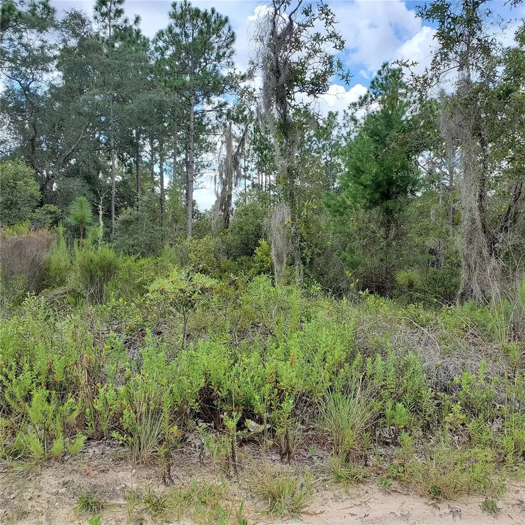 NE 66th Lane Williston FL 32696