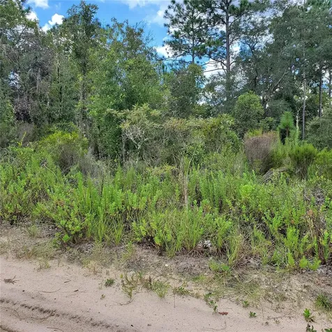 NE 66th Lane Williston FL 32696
