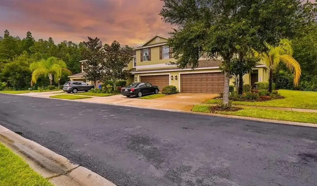 20227 Indian Rosewood Drive Tampa FL 33647