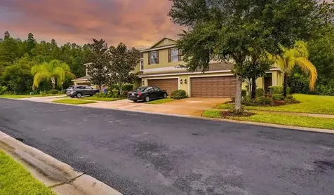 20227 Indian Rosewood Drive Tampa FL 33647