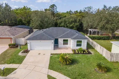 452 Basking Ridge Court Ocoee FL 34761