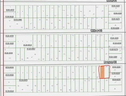 00 Banvon Street Interlachen FL 32148