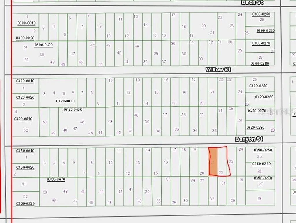 00 Banvon Street Interlachen FL 32148