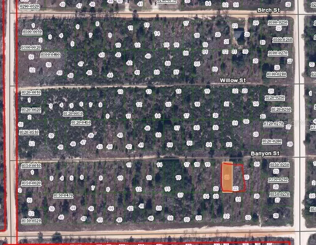 00 Banvon Street Interlachen FL 32148