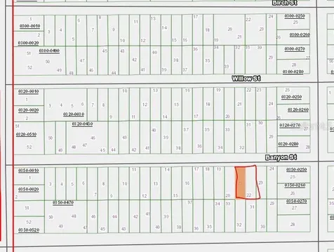 00 Banvon Street Interlachen FL 32148