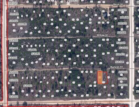 00 Banvon Street Interlachen FL 32148