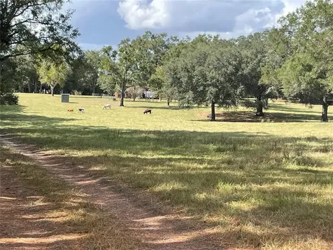 10622 NW 227th Terrace Alachua FL 32615