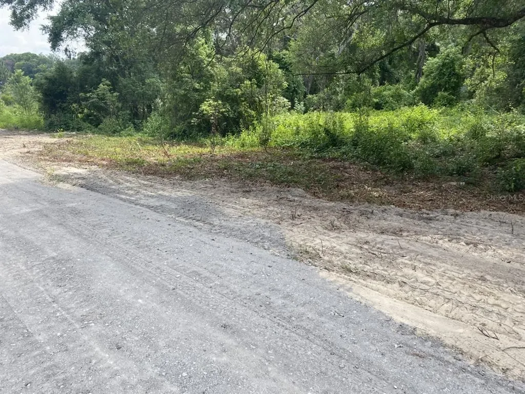 28458 SE 172nd Street Umatilla FL 32784