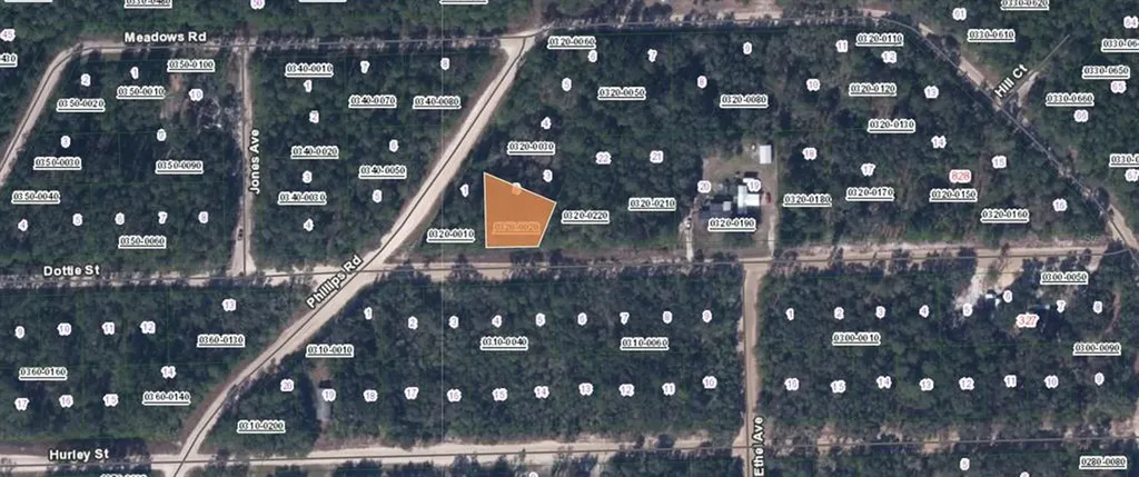 00 Dottie Street Interlachen FL 32148