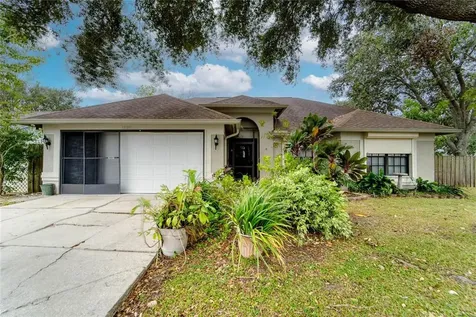 12011 Fruitwood Drive Riverview FL 33569